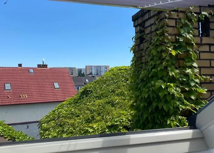 Forest&sea * Swinoujscie