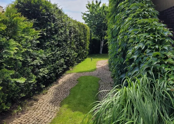 Forest&sea * Swinoujscie